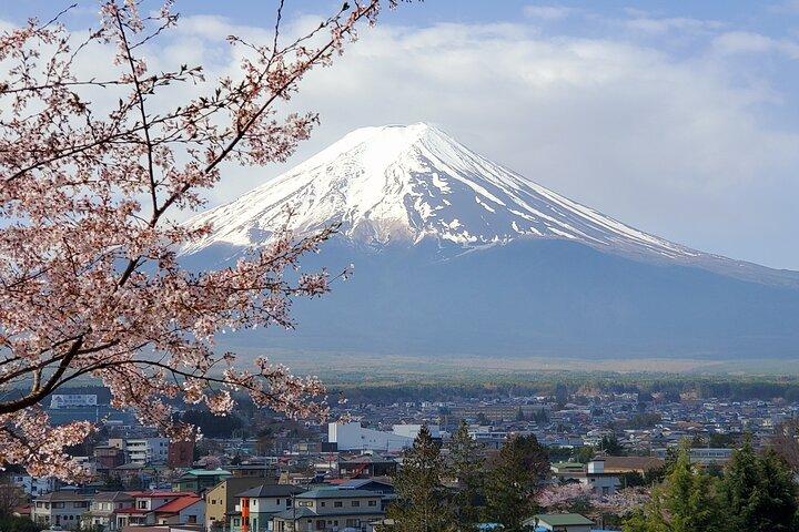 2日 - 1.東京/2.東京から富士山と箱根プライベートツアー