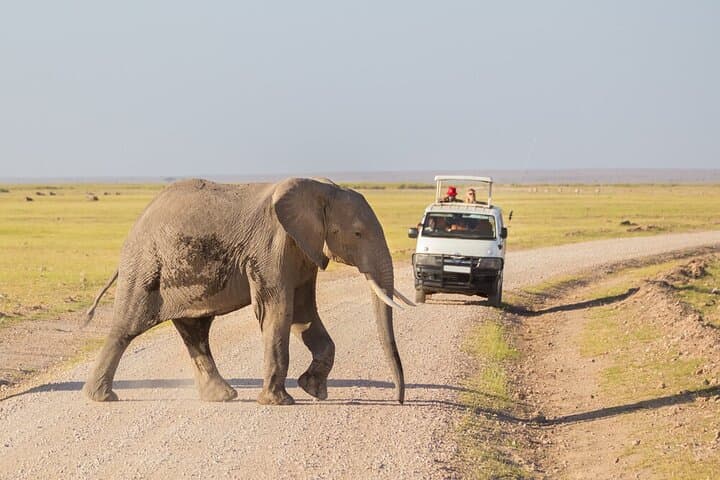 7-Days Wildlife and Outdoor activities in kenya