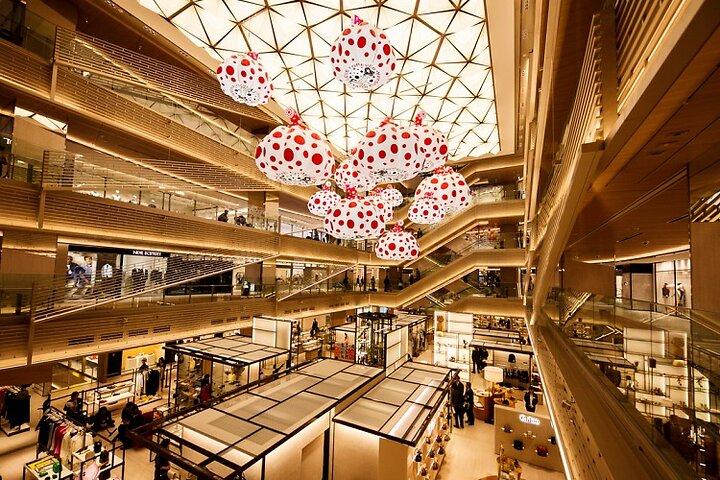 Privat biltur til Tokyo Shopping