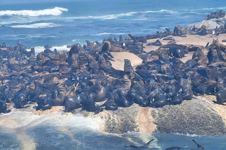Cape town ,Experience the Six Wonders in 3 Days inclusive prvt