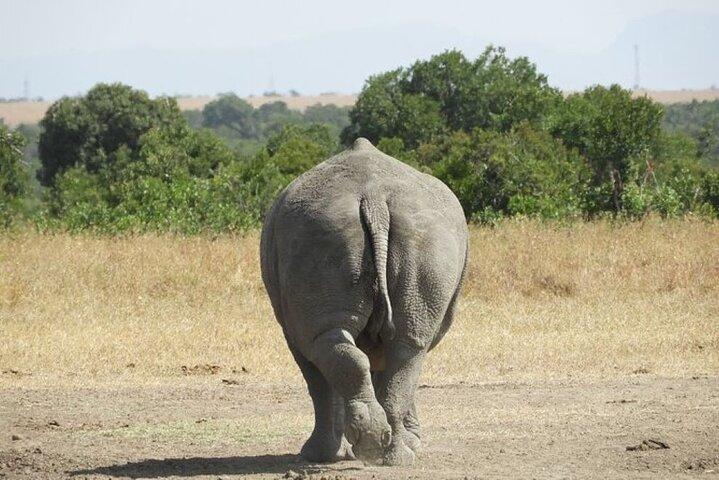 Tour privato di un giorno alla riserva naturale di Ol Pejeta da Nairobi