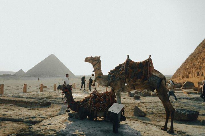 Visita guiada a Pirámides y Museo en El Cairo