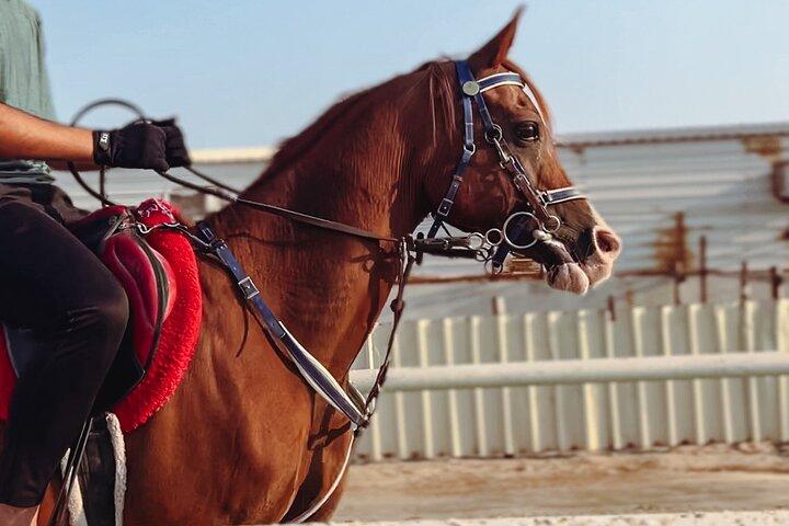 Esperienza privata di equitazione a cavallo e cammello a Doha