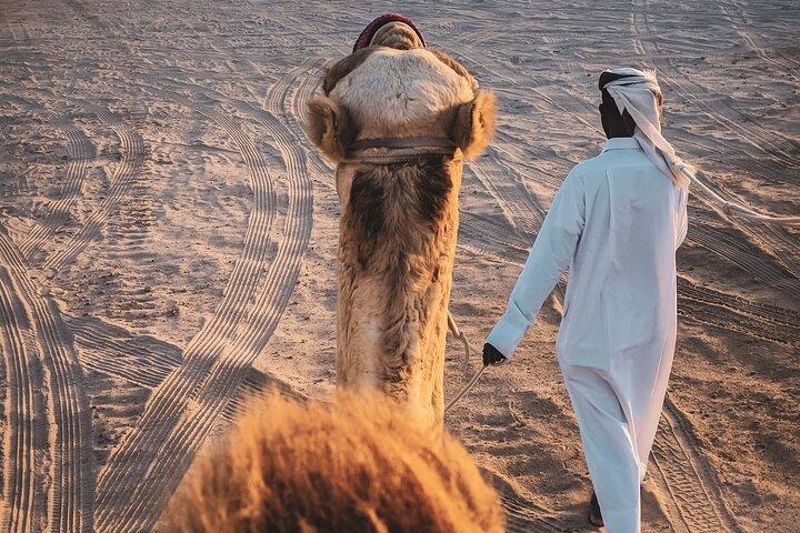 Experiência particular de passeio a cavalo e camelo em Doha