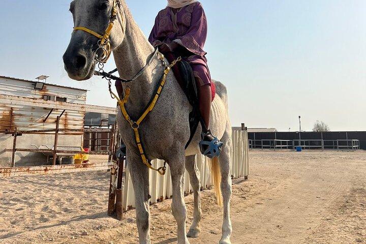 Experiência particular de passeio a cavalo e camelo em Doha