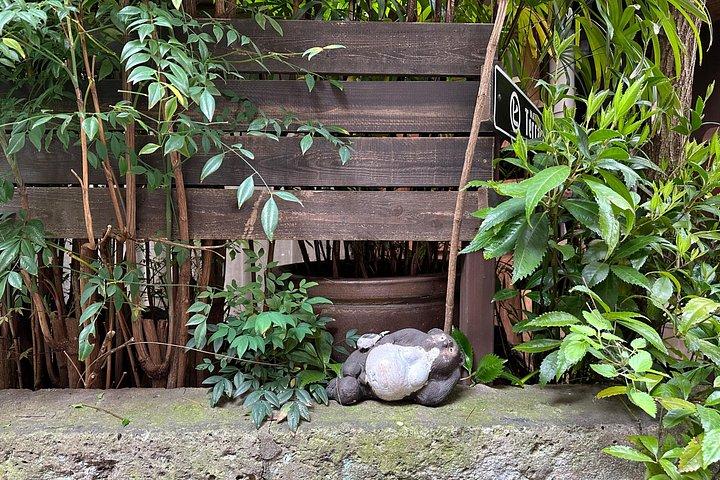 東京：谷中と根津の古き良き町文化体験