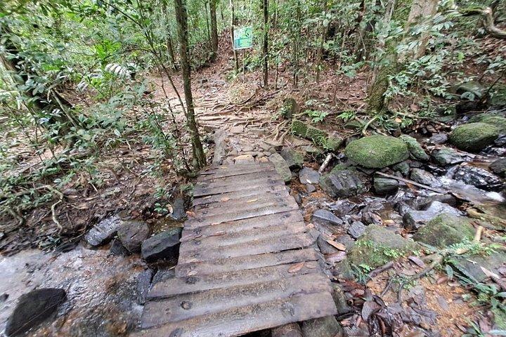 Viaje a la selva tropical de Sinharaja