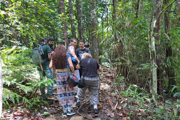 Viaje a la selva tropical de Sinharaja