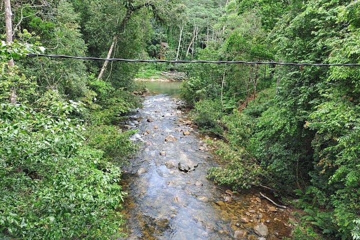 Viaje a la selva tropical de Sinharaja