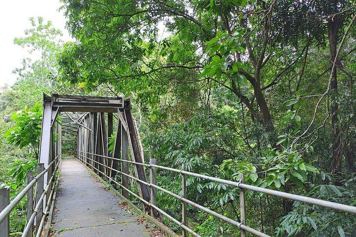 Viaje a la selva tropical de Sinharaja
