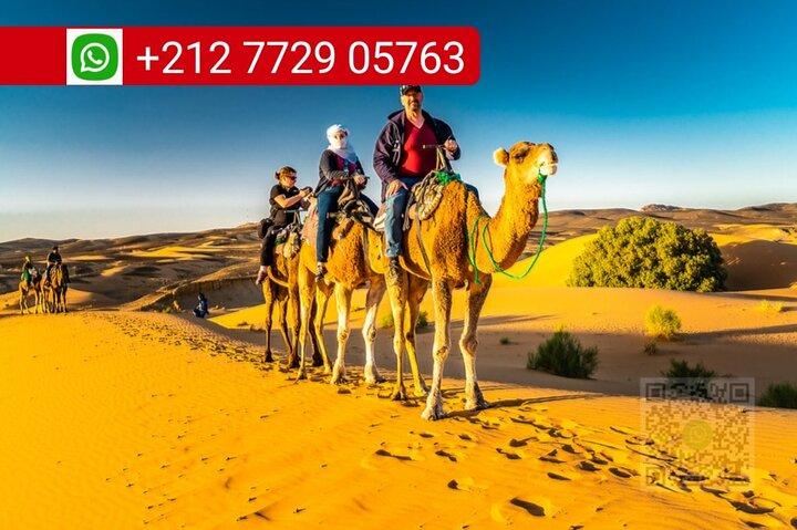 Giro in cammello di Merzouga e pernottamento nei campi nel deserto