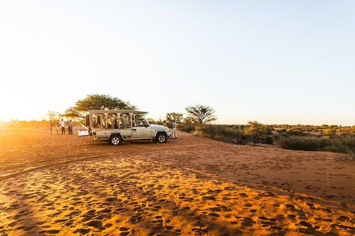 Tour Safari di 10 giorni in Namibia incl. Etosha e Namib da Windhoek