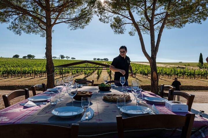 DRINK & MAD: Private vingård og vingård tur med smagning