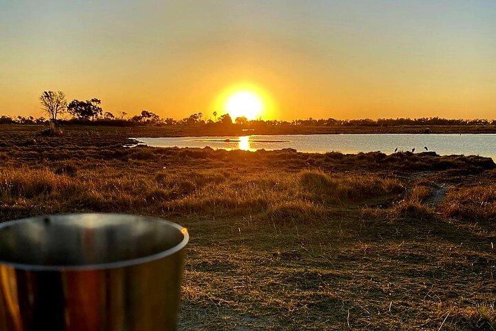Excursion d'une journée dans le delta de l'Okavango