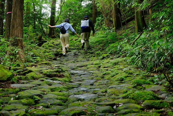 Wandeling Japan Heritage Hakone Hachiri met gecertificeerde berggids