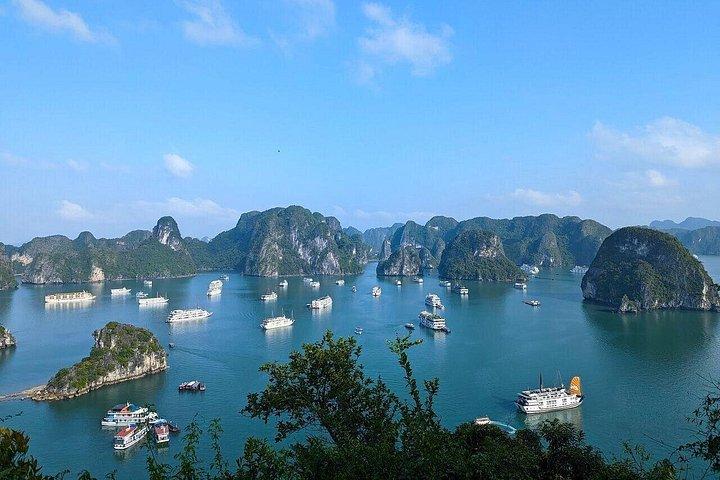 ハノイ発：アリサ ラグジュアリー クルーズ 5 つ星の旅でハロン湾を探索