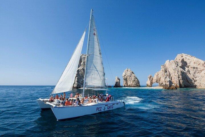 Los Cabos All Included Whale Watching Experience