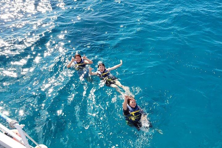 【無料送迎】サンセット＆ワインワイキキタートルキャニオンシュノーケリング