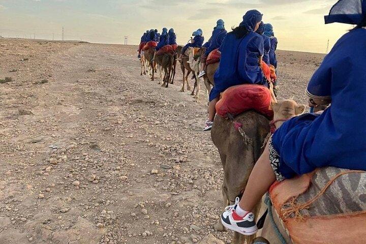 Agafay Desert Adventure: Morning Quad Ride, Camel Trek & Lunch