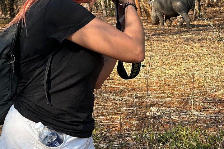 Spildrev/White Rhino sporing