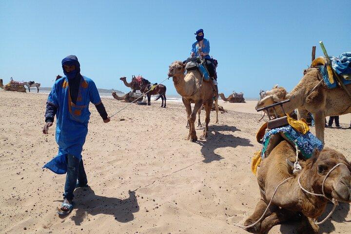 1 timmes fyrhjuling och 1 timmes Dromadery Ridning i Essaouira