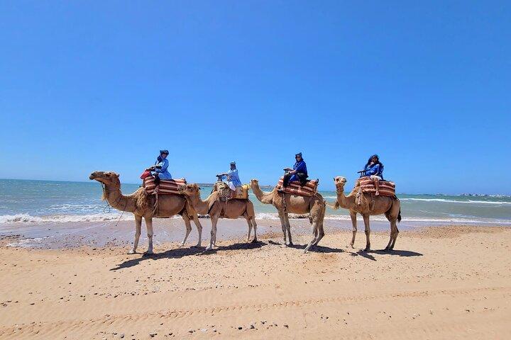 1 timmes fyrhjuling och 1 timmes Dromadery Ridning i Essaouira