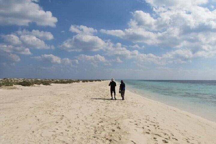 Hamata & Isole Qulaan Gita di snorkeling con pranzo: Marsa Alam