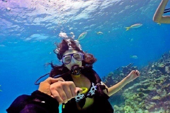 Nybörjare Dykning Båttur 2 stopp med lunch : Marsa Alam