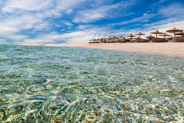 アブー・ダッバブシュノーケリング旅行、海洋生物探検 : マルサ・アラム