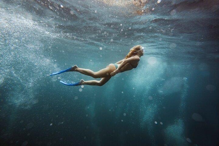 Abu Dabbab Snorklingstur, utforska det marina livet : Marsa Alam