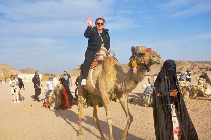 Super Safari Quad, Jeep, Kamel und Beduinendorf : Marsa Alam
