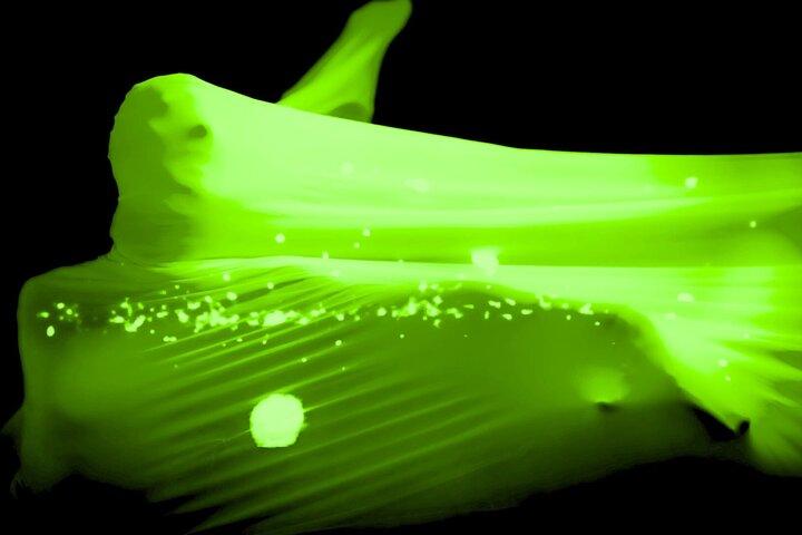 Underjordisk Black Light Theatre Interactive Show i Prag