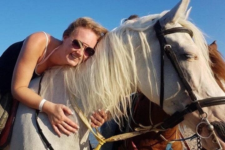 Passeggiata a cavallo di 2 ore, cena beduina e spettacolo egiziano-Sharm El Sheikh