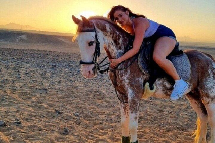 Passeio a cavalo de 2 horas, jantar beduíno e show egípcio-Sharm El Sheikh