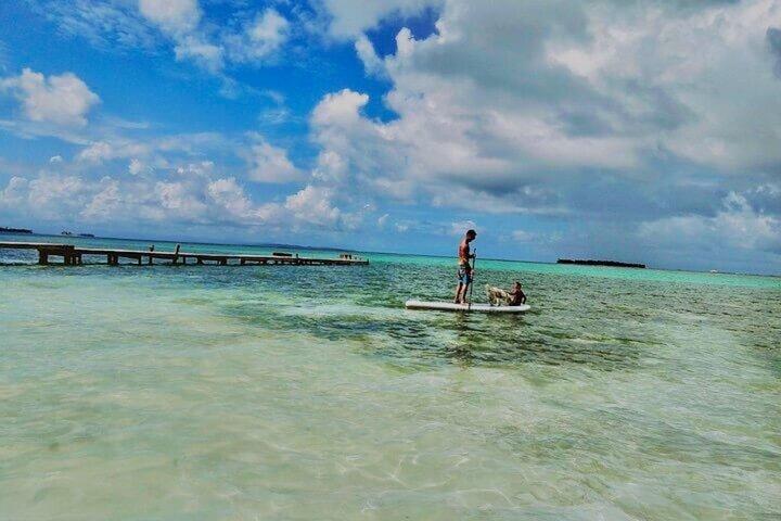 San Blas Island Hopping Tour med New Exclusive Paradise Island