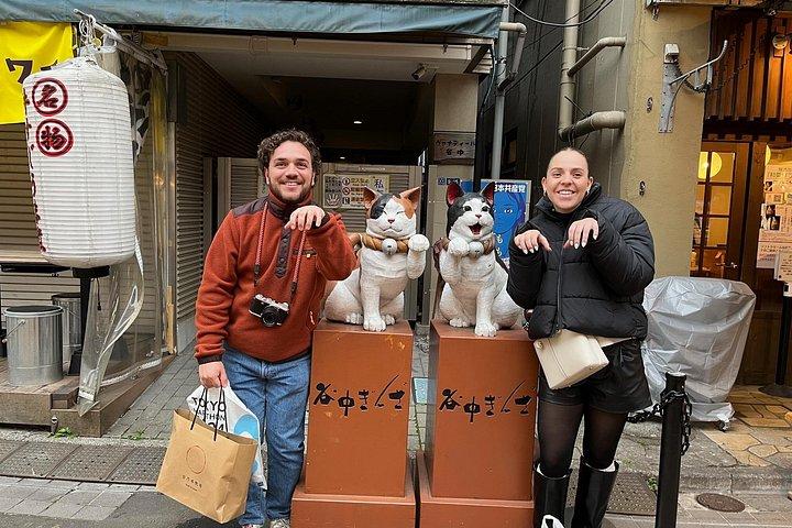 Tokyo 6hr Private Guided Tour & Inari Sushi Making Experience
