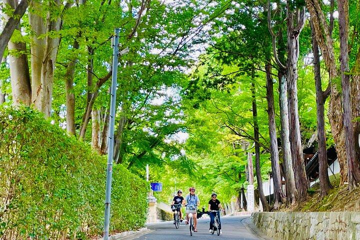 ペダルアドベンチャー 電動自転車ツアーで京都の象徴的なランドマークを巡る