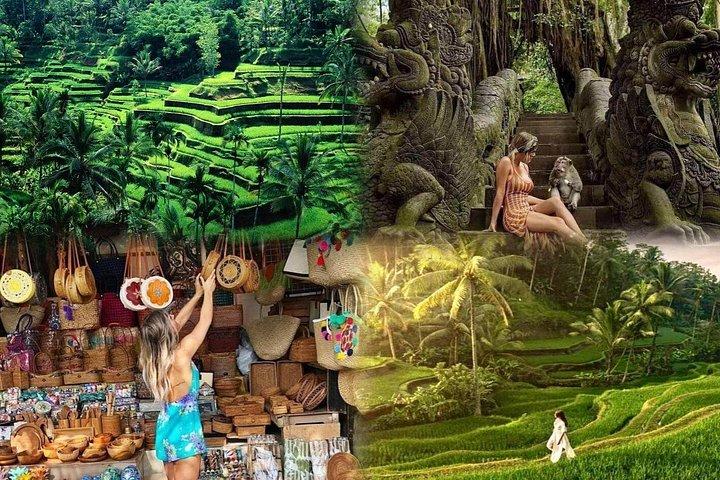 Fuld dag Privat vandfald og Ubud tur