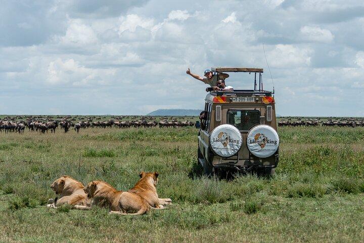 Excursión privada de 6 días a Great Migration Ndutu Serengeti Safari