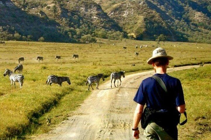 Overnight Mount Longonot, Lake Naivasha and Hell's Gate Park