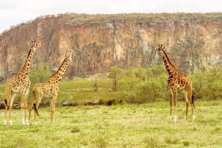 Overnight Mount Longonot, Lake Naivasha and Hell's Gate Park