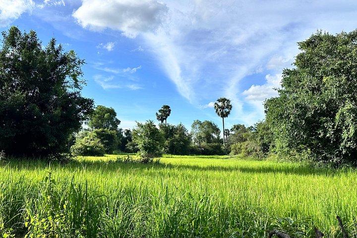 Preah Khan, Ta Prohm, Bayon Fora de estrada