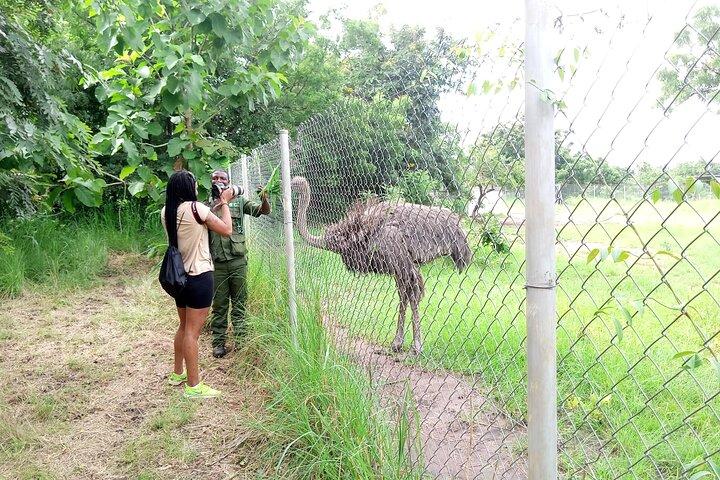 Tour por el Zoológico de Accra y los Jardines Botánicos de Aburi