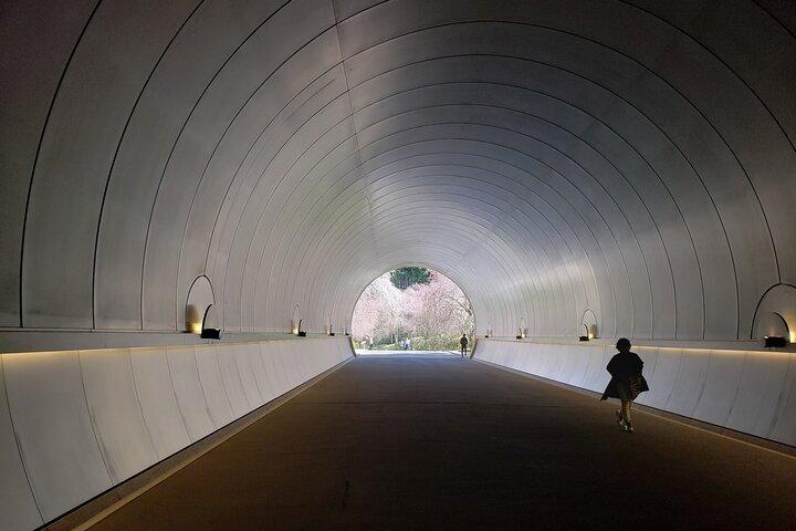 Day Trip MIHO Museum and Shigaraki from Kyoto by Private Car