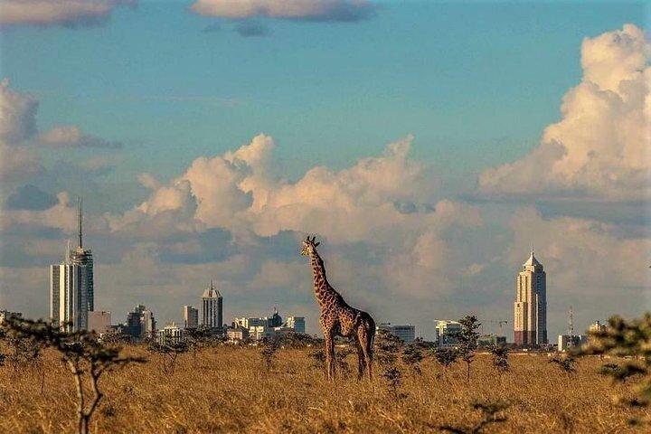 キリンセンターとナイロビ国立公園ツアー
