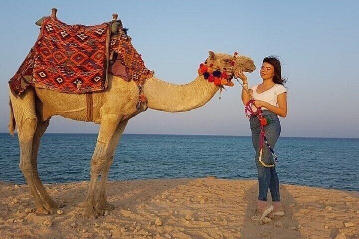 Adventure Kamelridning i vidunderlig ørken en time - Hurghada