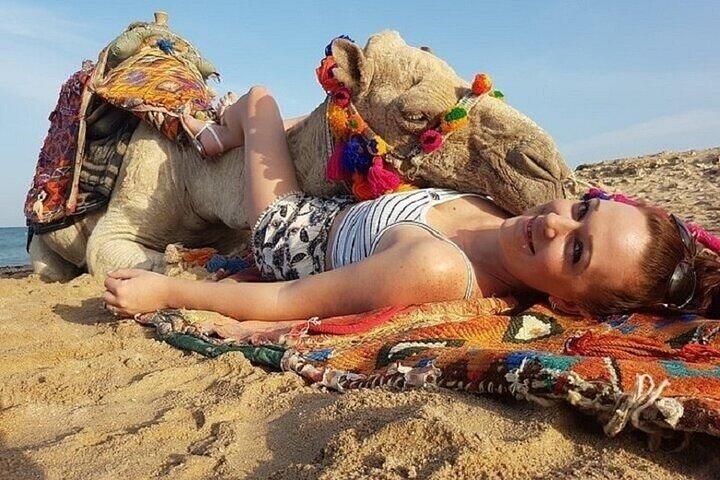 Adventure Kamelridning i vidunderlig ørken en time - Hurghada