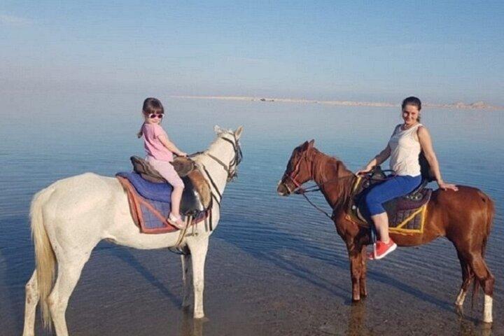 2 Horas de passeio a cavalo na praia de Nabq Bay e transfers–Sharm El Sheikh