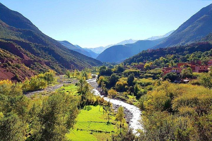 マラケシュから: アトラス山脈、オウリカ渓谷＆滝