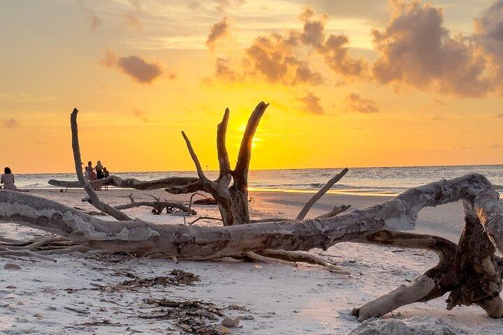 St. Pete Dolphin Watching og Island Sunset Cruise